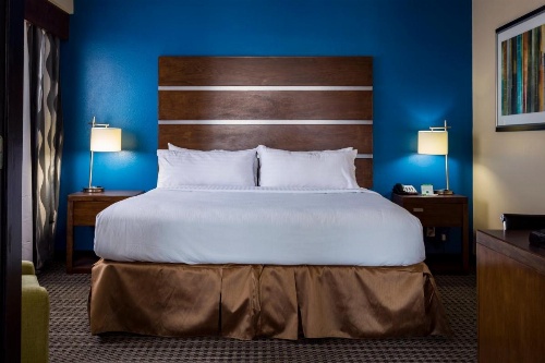 Holiday Inn Houston Downtown image 25